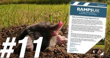 Ramps UK Bulletin 11